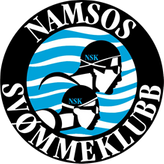 To personer svømmer. Grafikk.